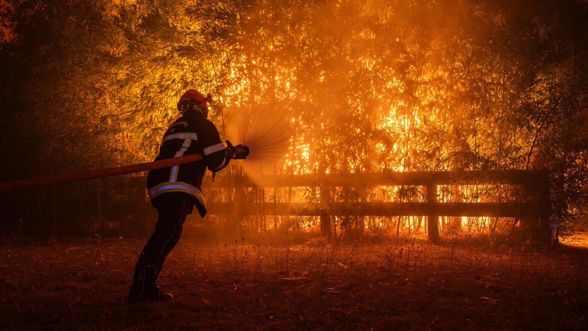 Incendios en Francia y España - Foto: EFE