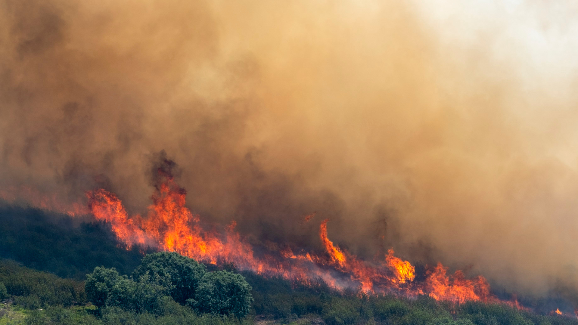 Incendios forestales en España | Foto: EFE
