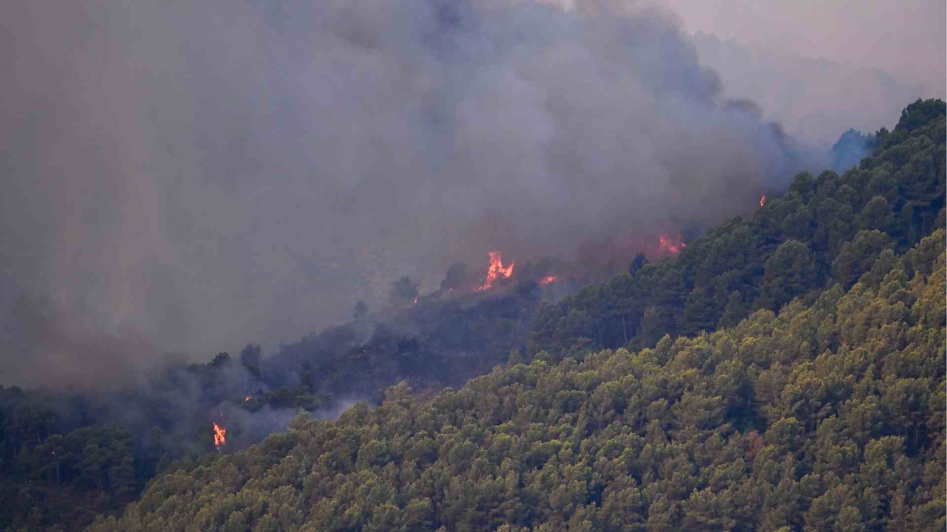 Incendios en España - EFE