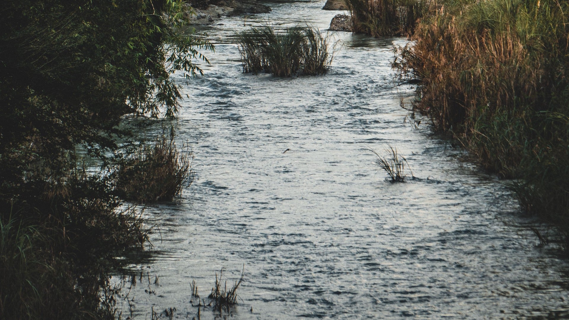 Río - Foto de referencia: Pexels