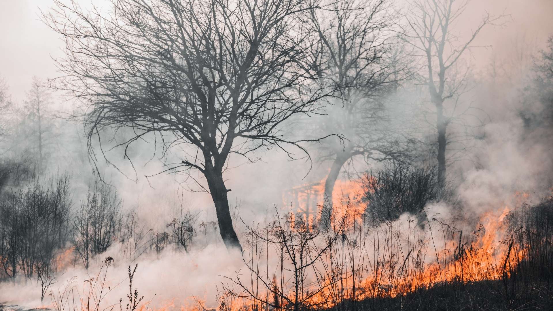 Humo Incendios - Foto Canva