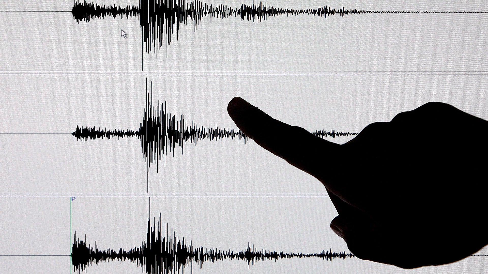 Investigador enseña datos de un sismógrafo tras un terremoto - Foto de referencia: EFE