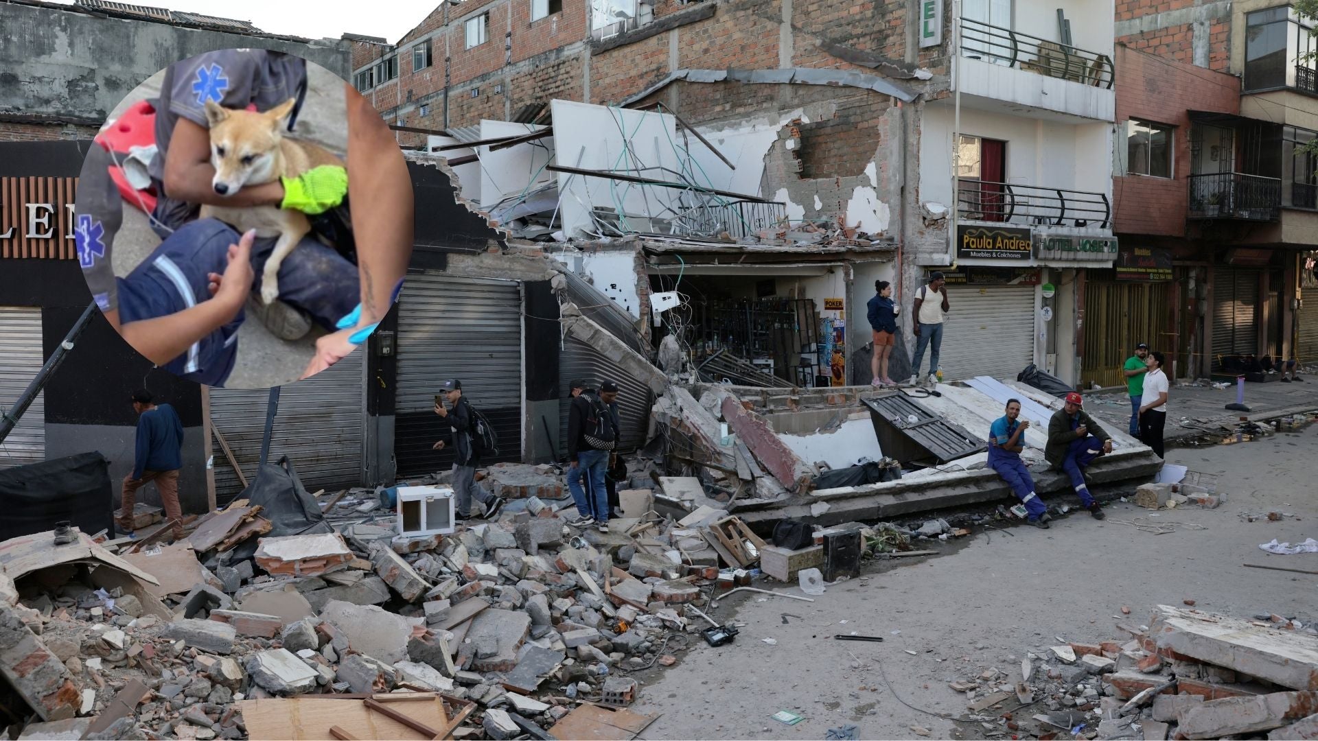Perrito rescatado en el terremoto - EFE y Canva