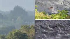Volcán de lodo hizo erupción en Urabá - Redes sociales