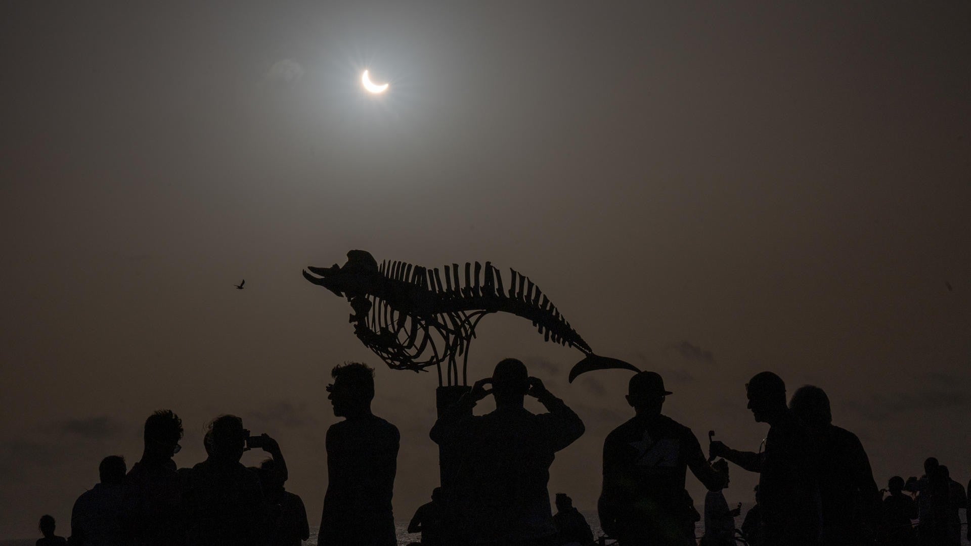 Eclipse solar en Fuerteventura, España - Foto: EFE