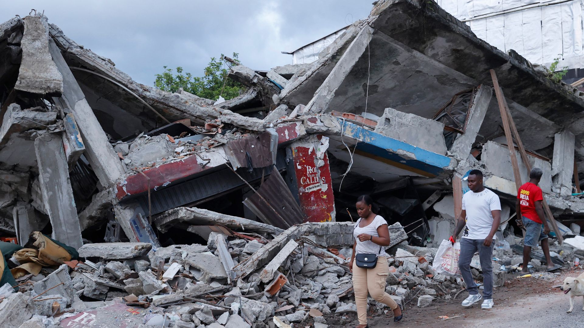 Medicina Legal ya entregó 140 cuerpos del terremoto - EFE