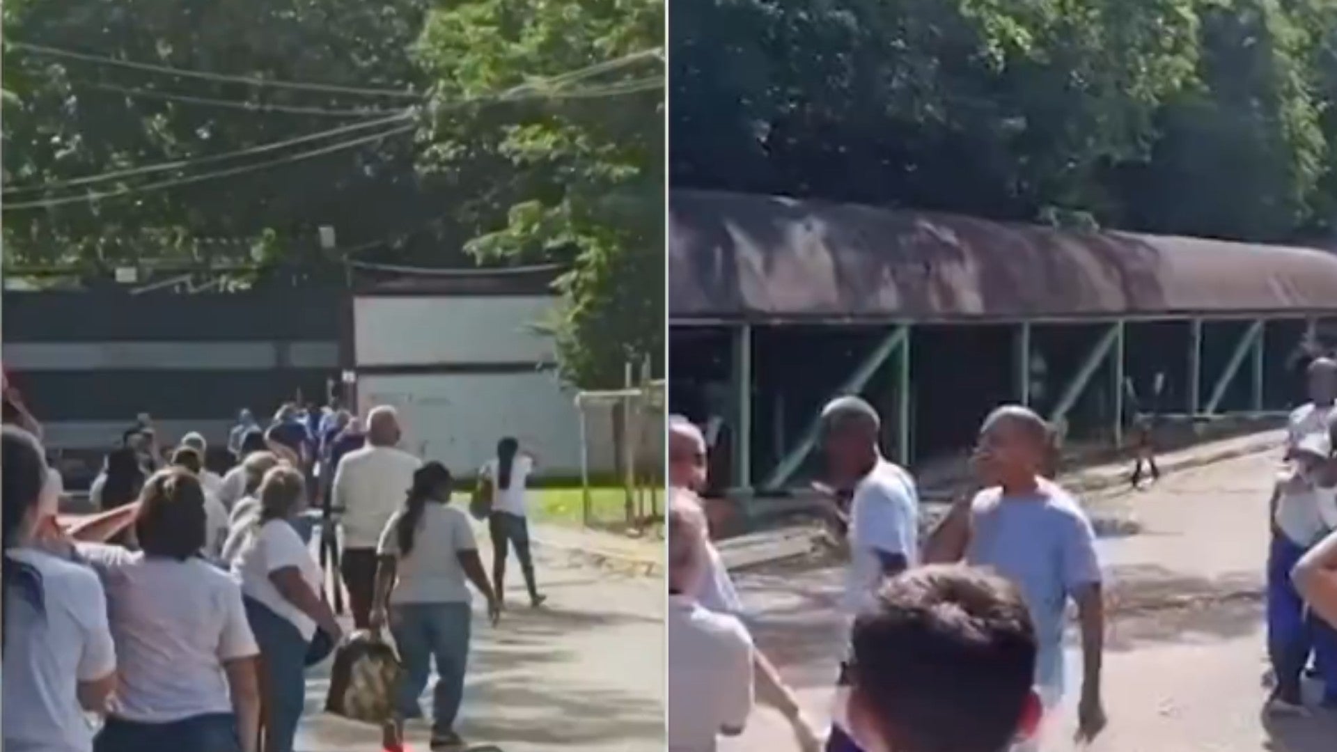 Liberación de presos políticos / FOTO: Captura de pantalla