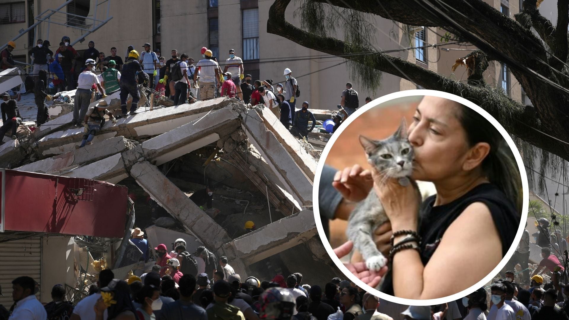 Personas trabajan en labores de rescate en una edificación colapsada- Foto: Ilustración Canva