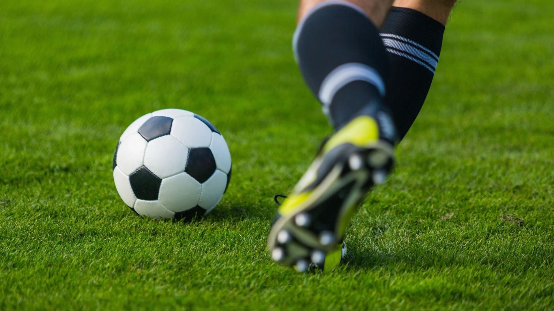 Jugadores anuncian cese de actividades - Canva
