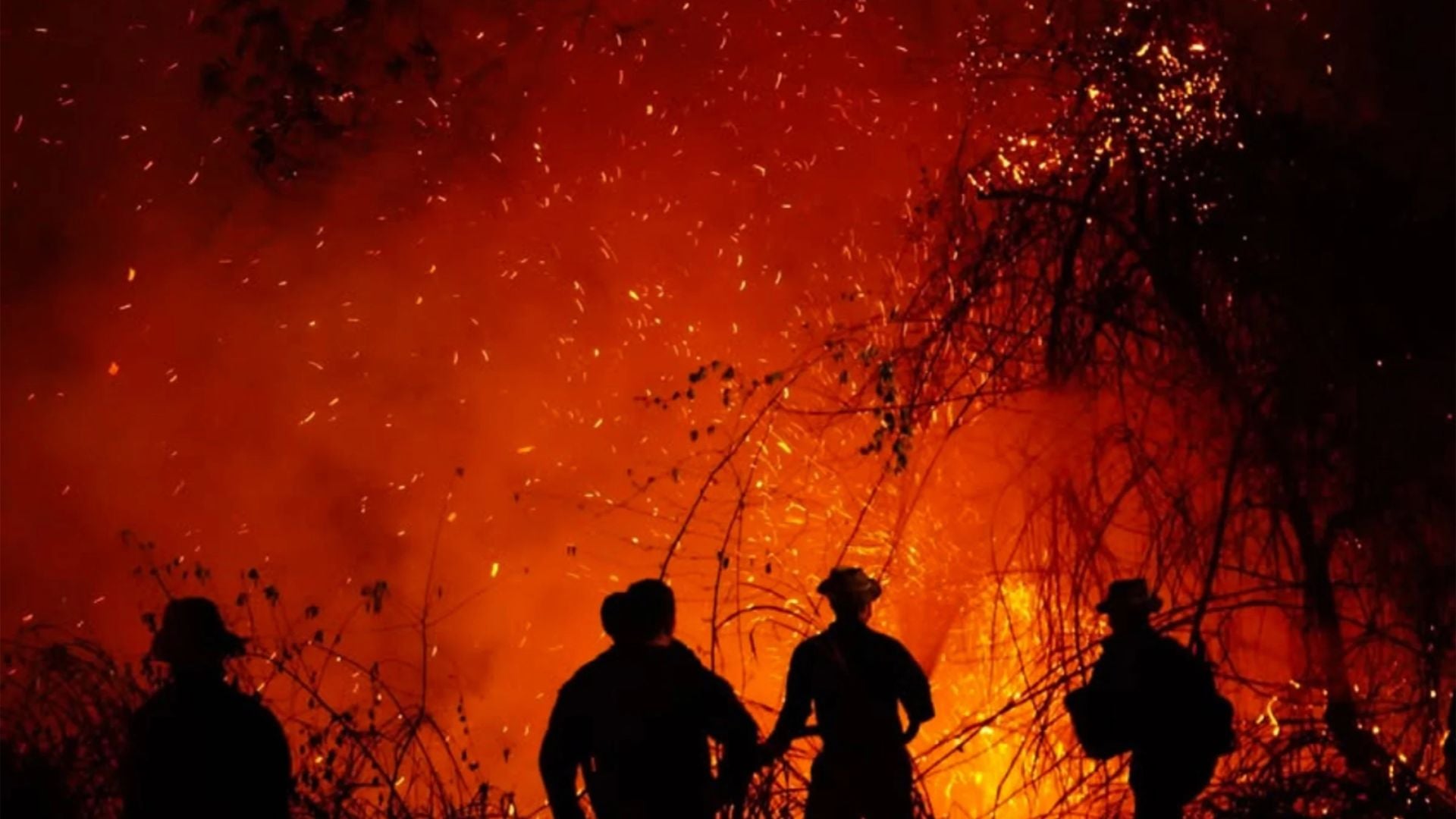 Integrantes de la Policía de Colombia intentando apagar un incendio forestal en una zona rural entre los municipios de San Luis y Gualanday del departamento del Tolima-Foto: EFE