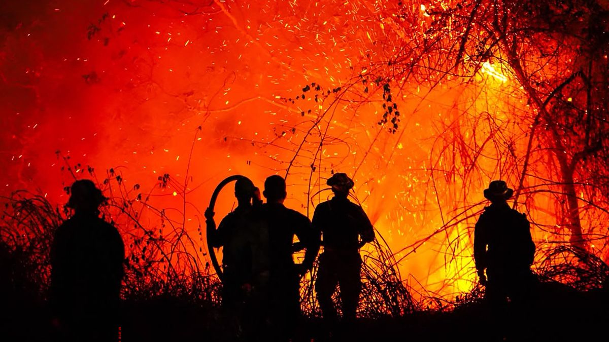Incendios en Tolima (AFP)