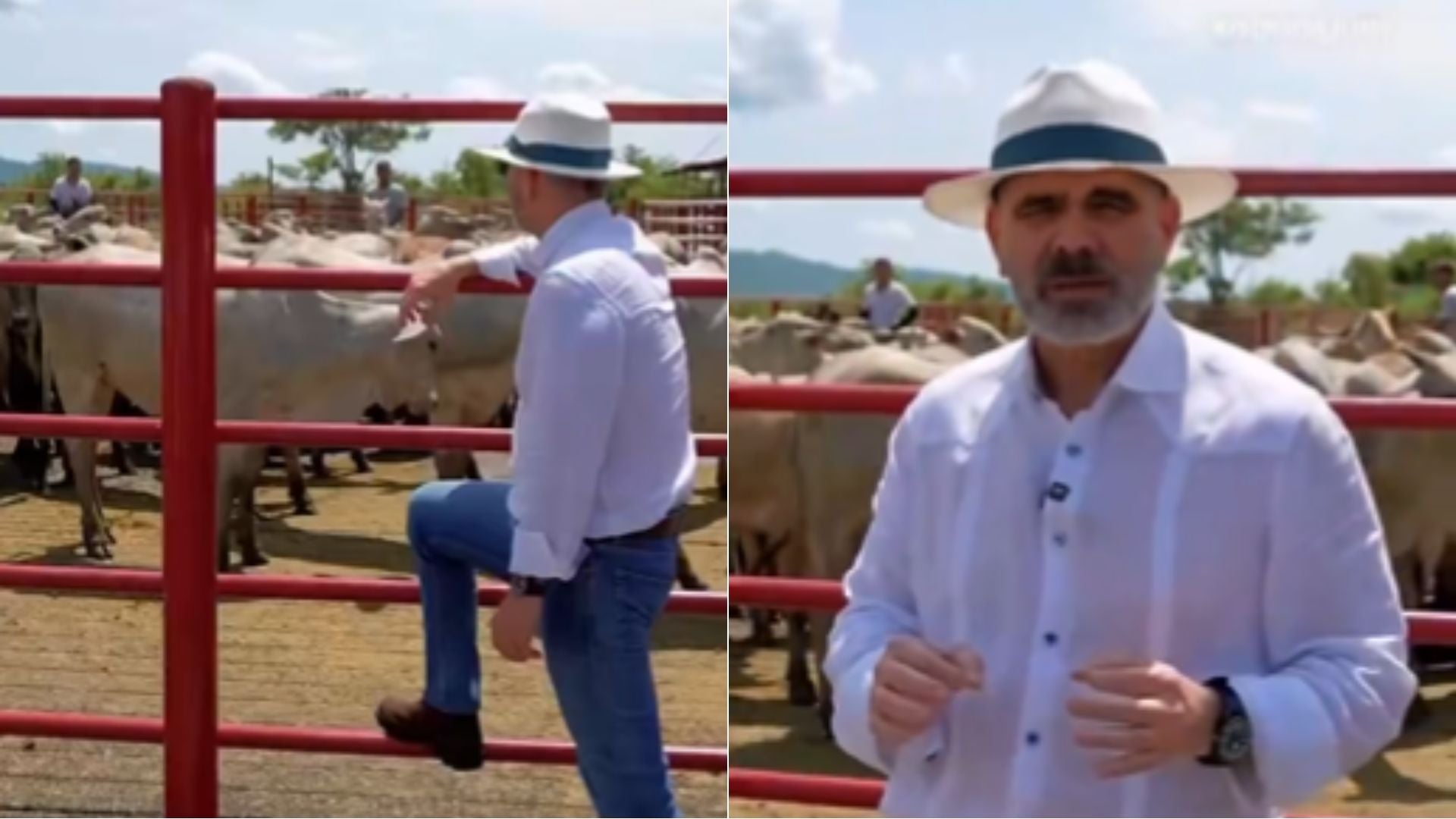 Vladimir Padrino López, ministro de Agricultura del régimen venezolano - Fotos: X
