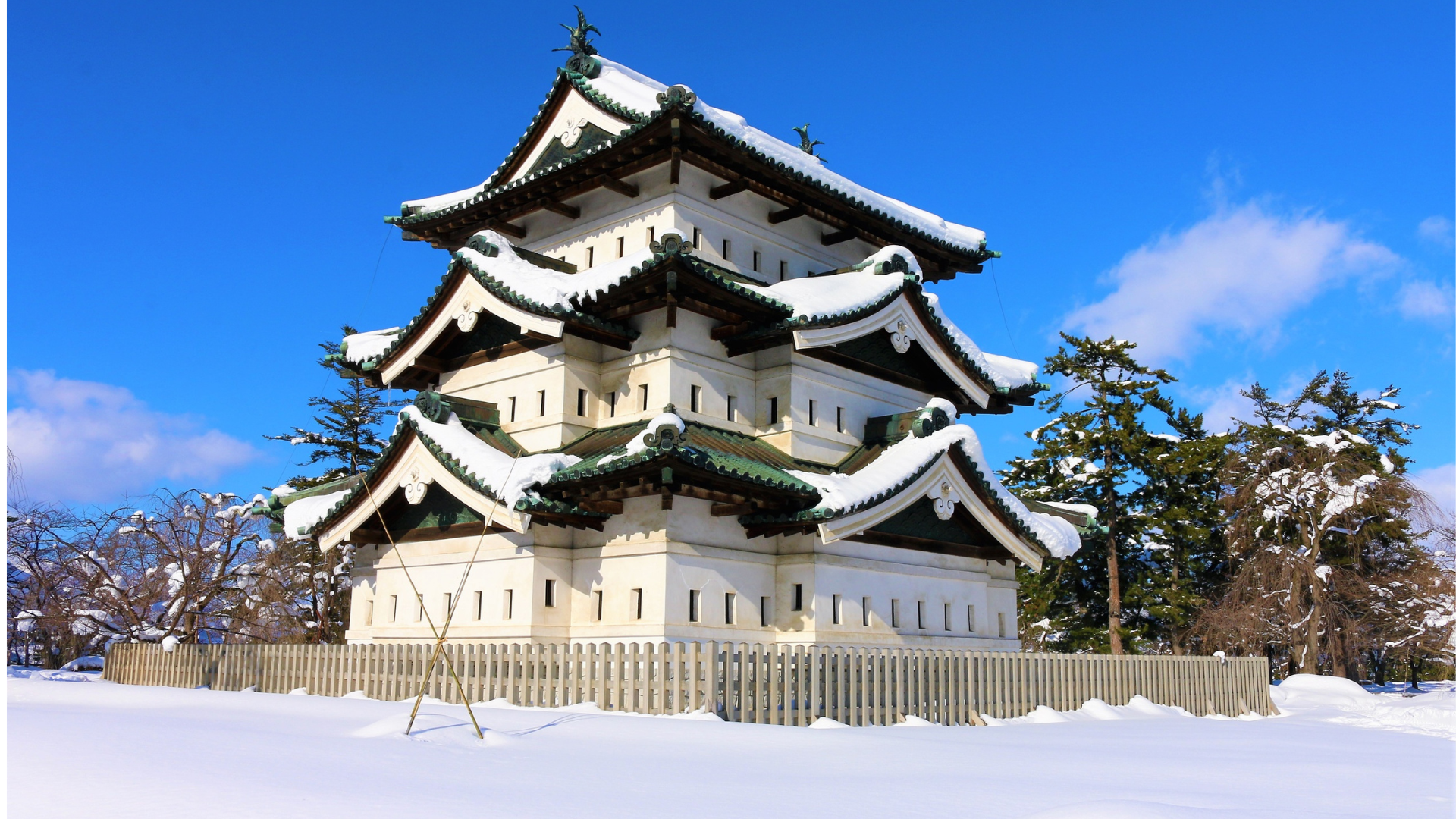 HIROSAKI- CANVA