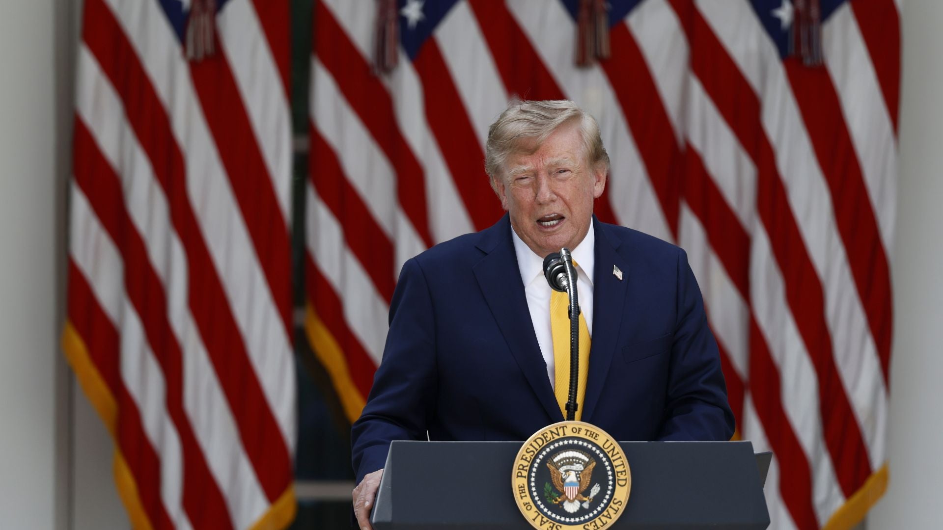 Presidente Donald Trump-Foto: EFE