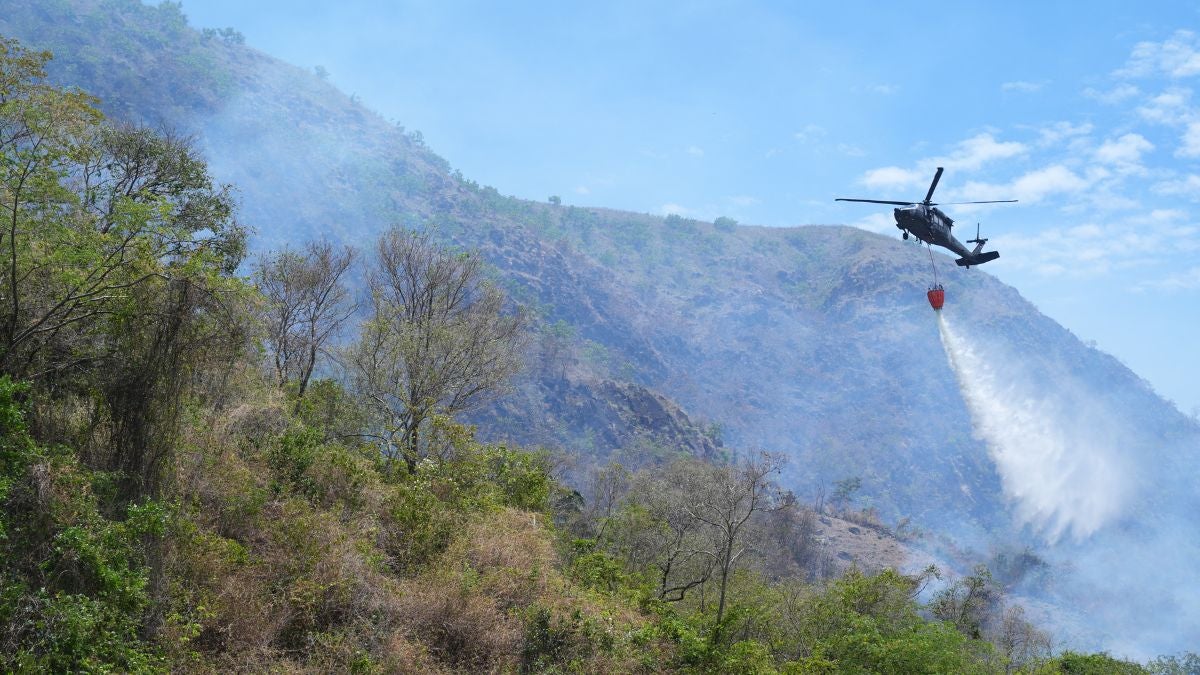 Incendios en Tolima (AFP)