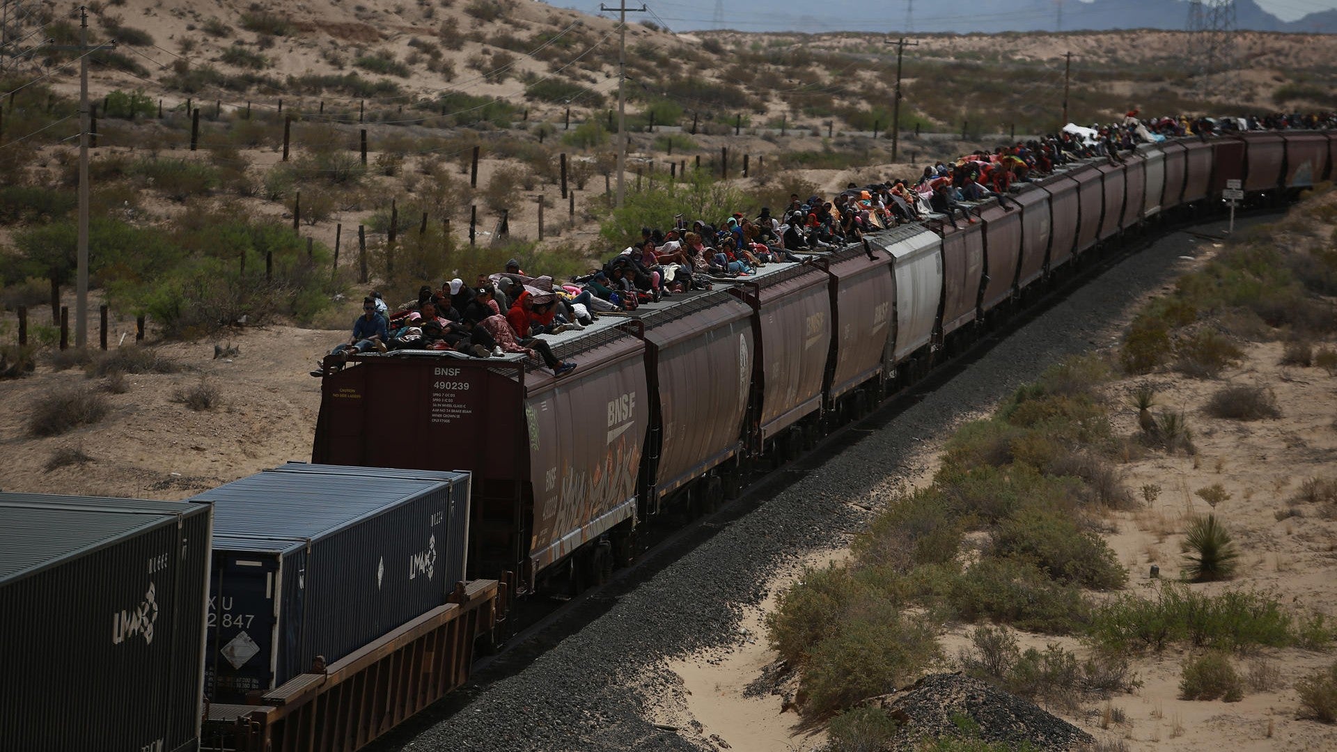 Tren La Bestia / FOTO: EFE