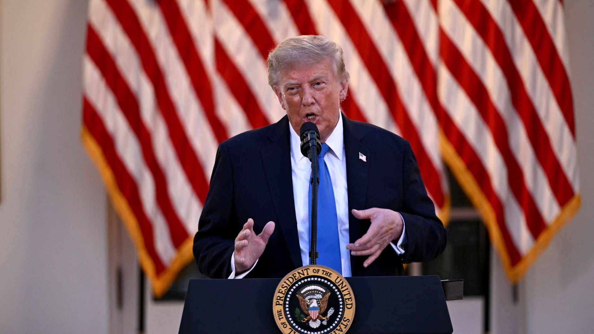 Presidente de los Estados Unidos, Donald Trump-Foto: AFP