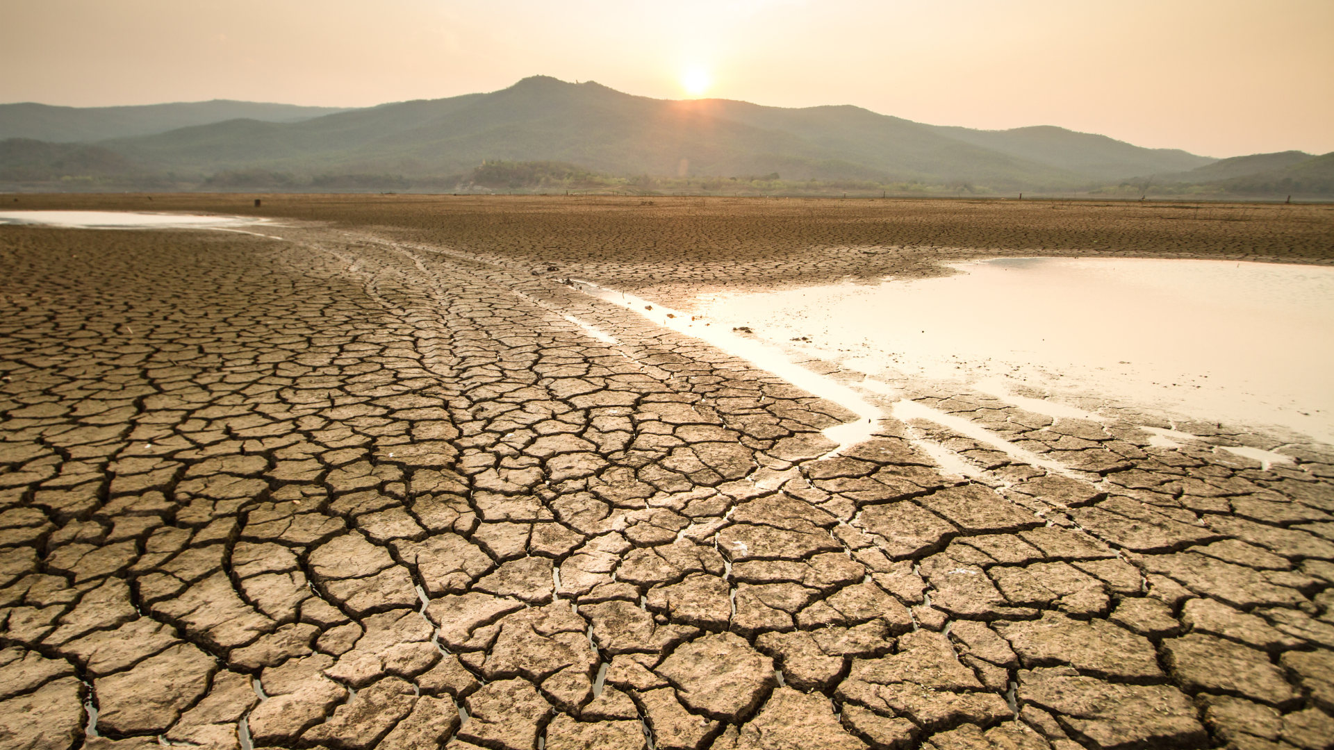 Cambio climático | Canva