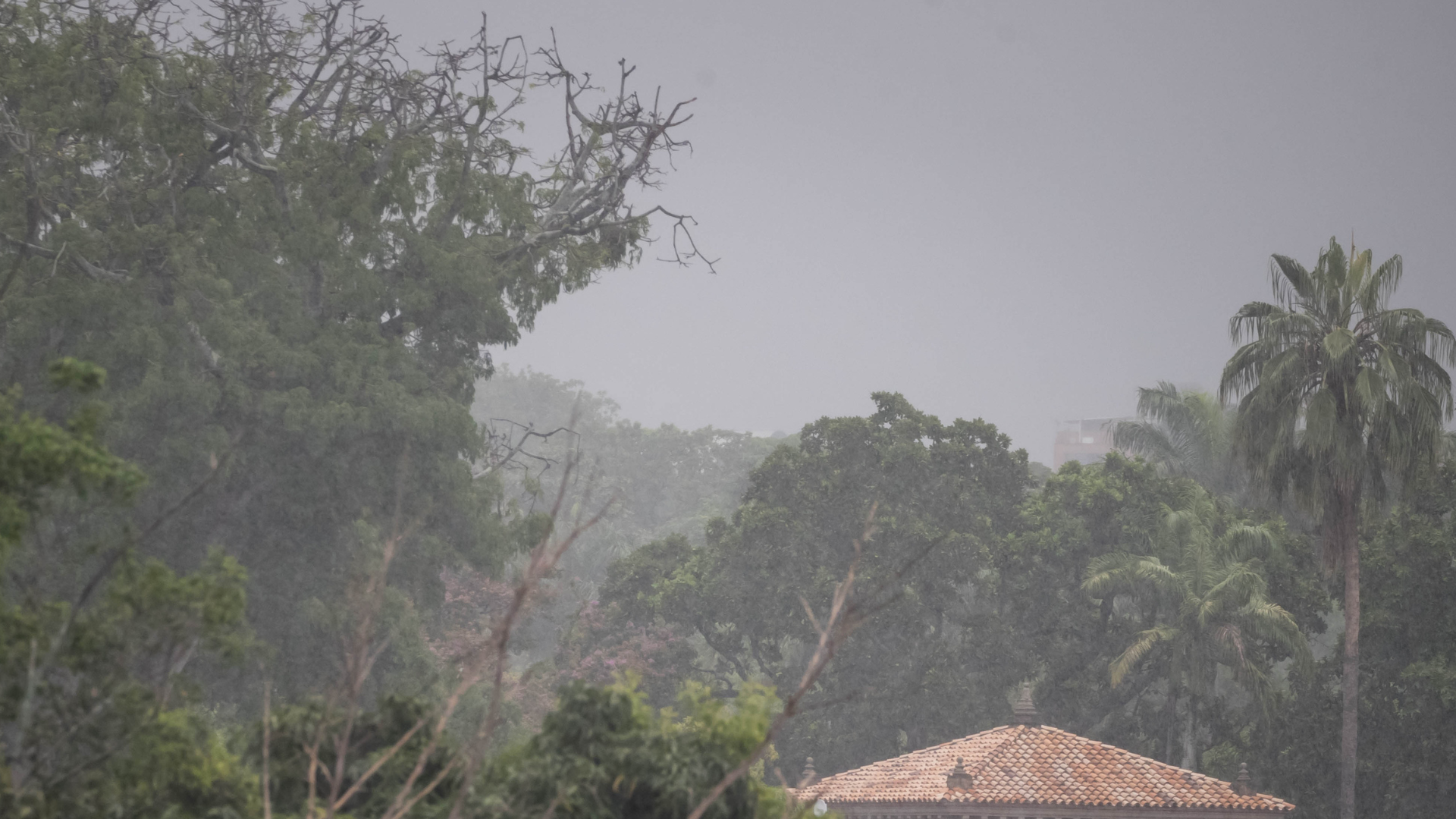 Lluvia en Caracas (Venezuela) - Foto de referencia: EFE