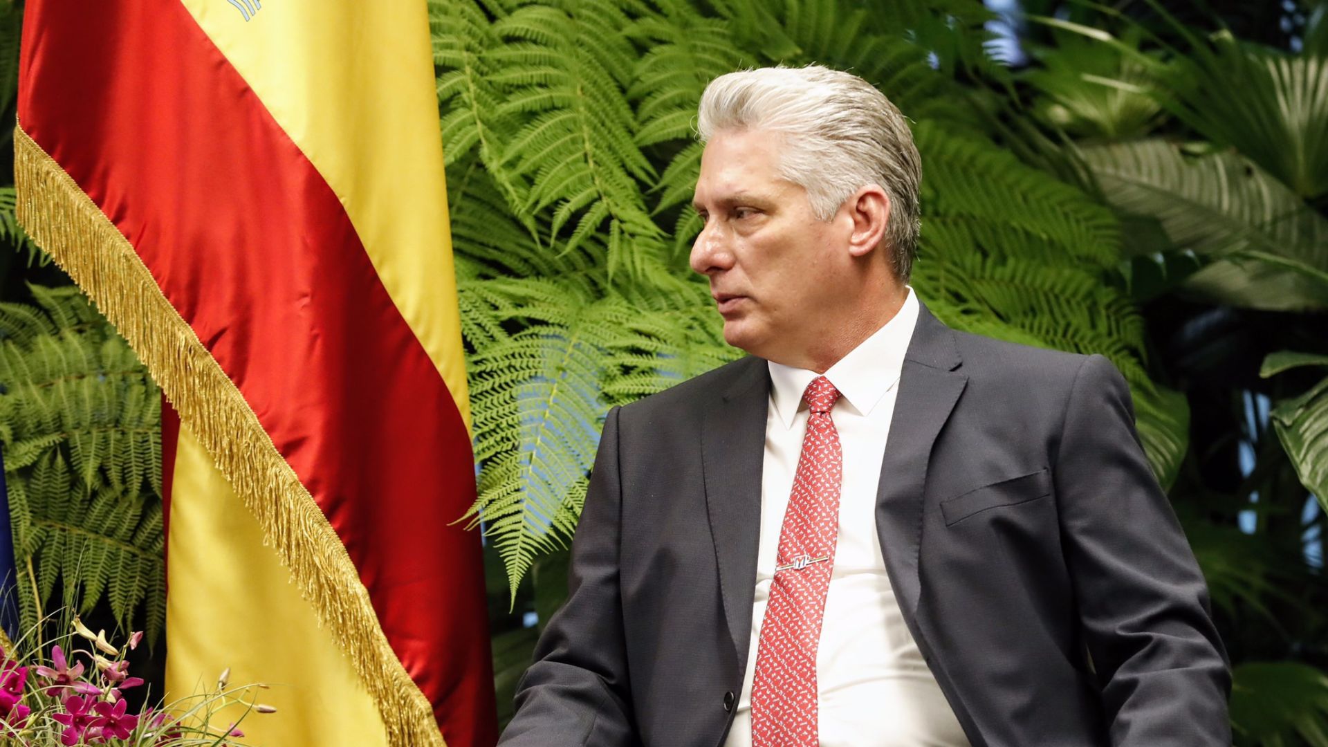 Dictador cubano Miguel Díaz Canel-Foto: EFE