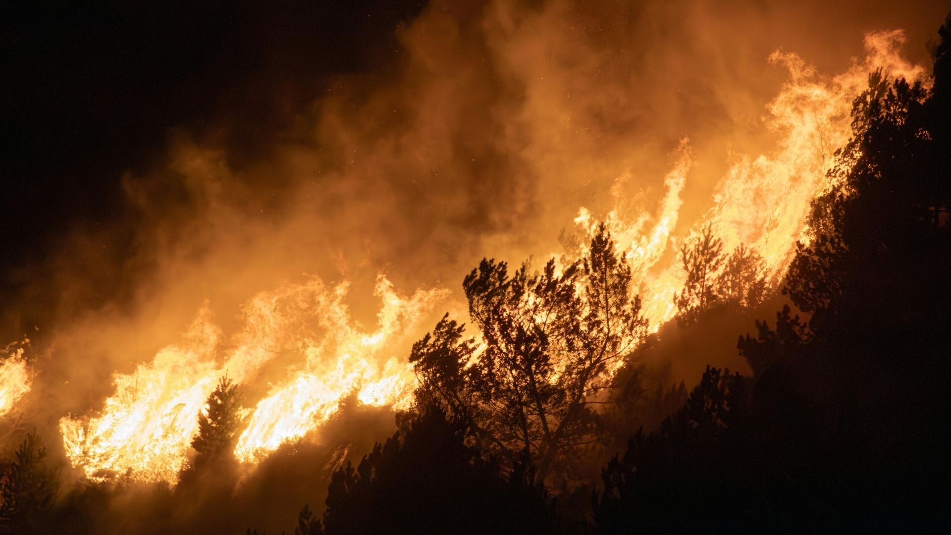 Incendio Forestal - Foto Canva