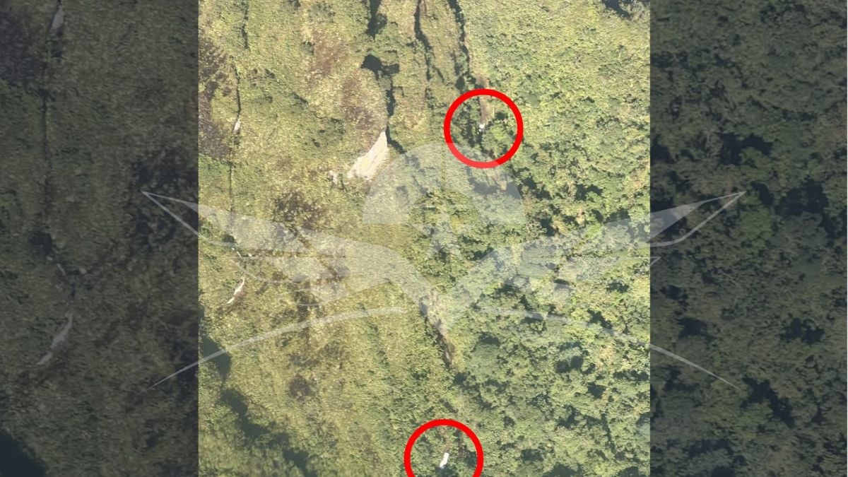 Foto: Fuerza Aérea