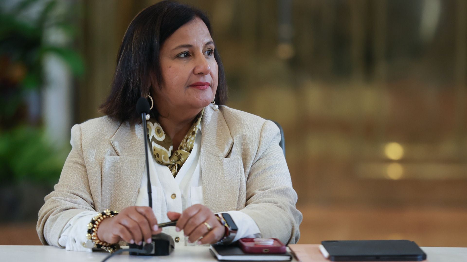 Dinorah Figuera, jefe de la delegación de la AN de 2015 - Foto: EFE