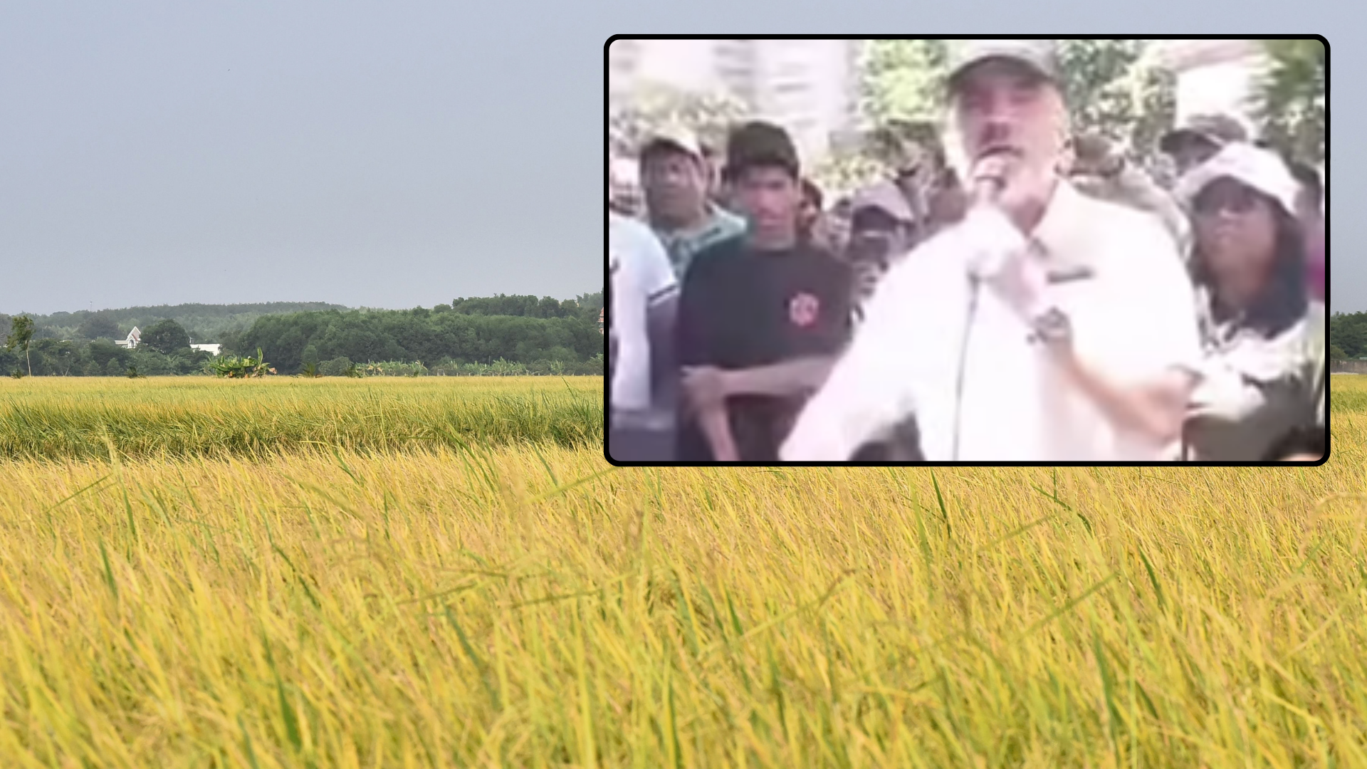 Campo de arroz / Vladimir Padrino López, ministro de Agricultura y Tierra del régimen venezolano - Fotos: Pexels / X