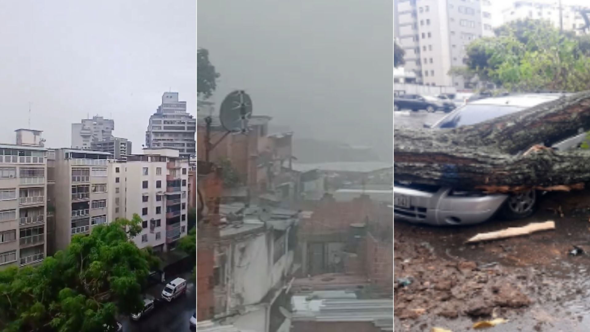 Lluvias y ráfagas de viento provocan fallas eléctricas, anegaciones y árboles caídos en Caracas y Miranda (Venezuela) - Fotos: X