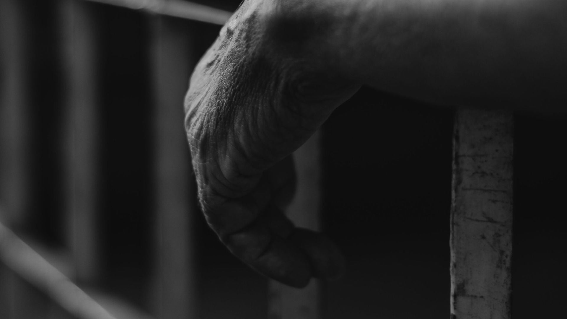 Primer plano en blanco y negro de una mano agarrando barras de metal - Foto de referencia: Pexles