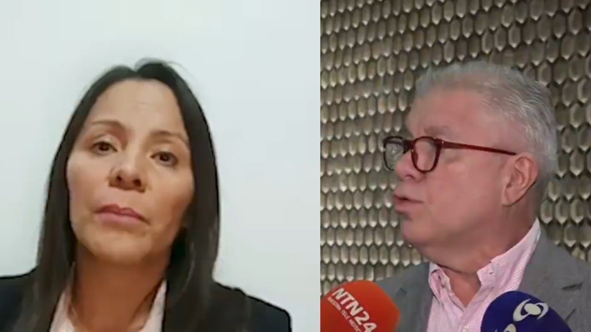 Exmagistrados del TSj de Venezuela Bárbara César y Juan Carlos Apitz Barbera / FOTO: Captura de pantalla