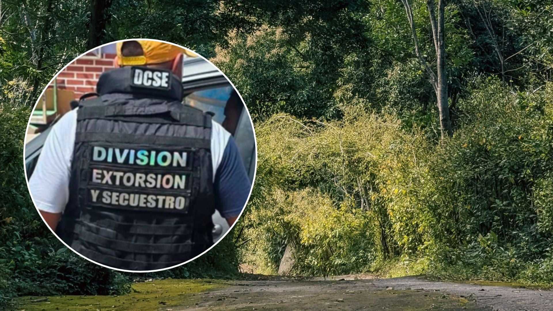 Funcionario policial venezolano / Bosque - Fotos: X / Pexels
