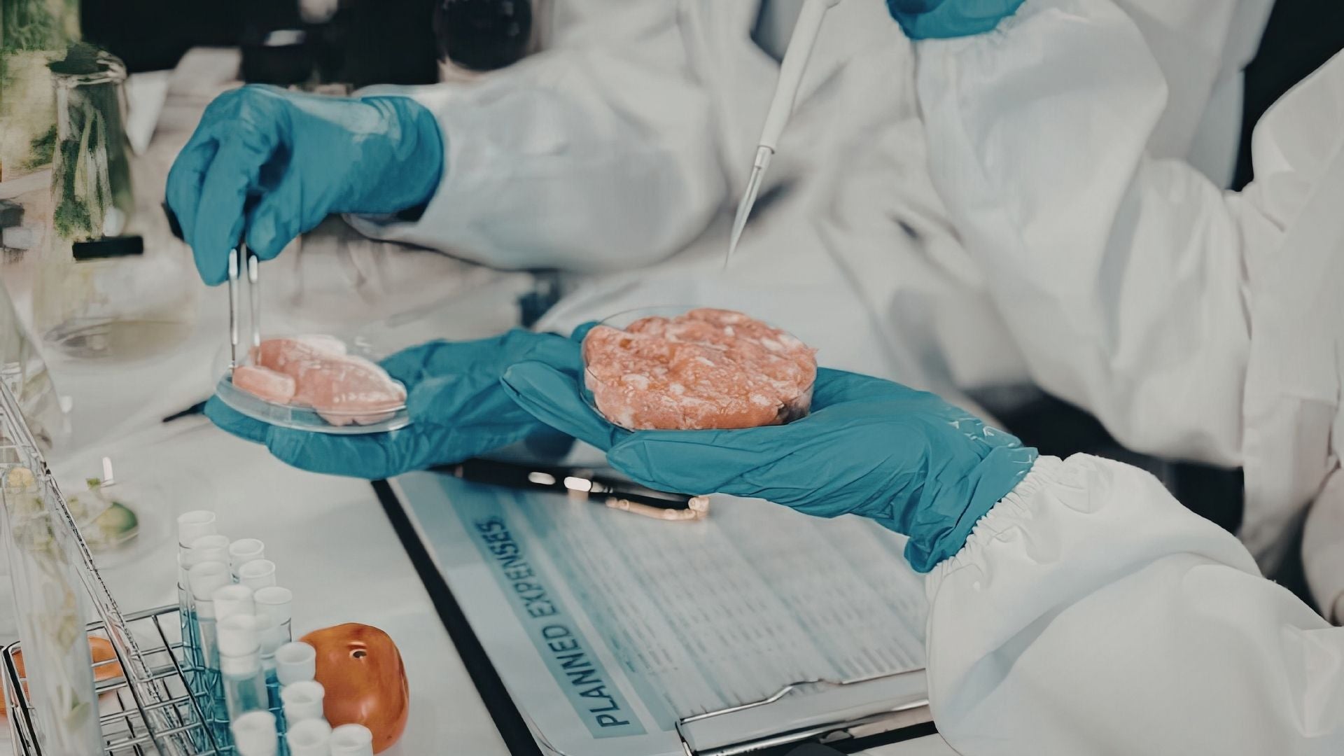 Carne Laboratorio - Foto Canva