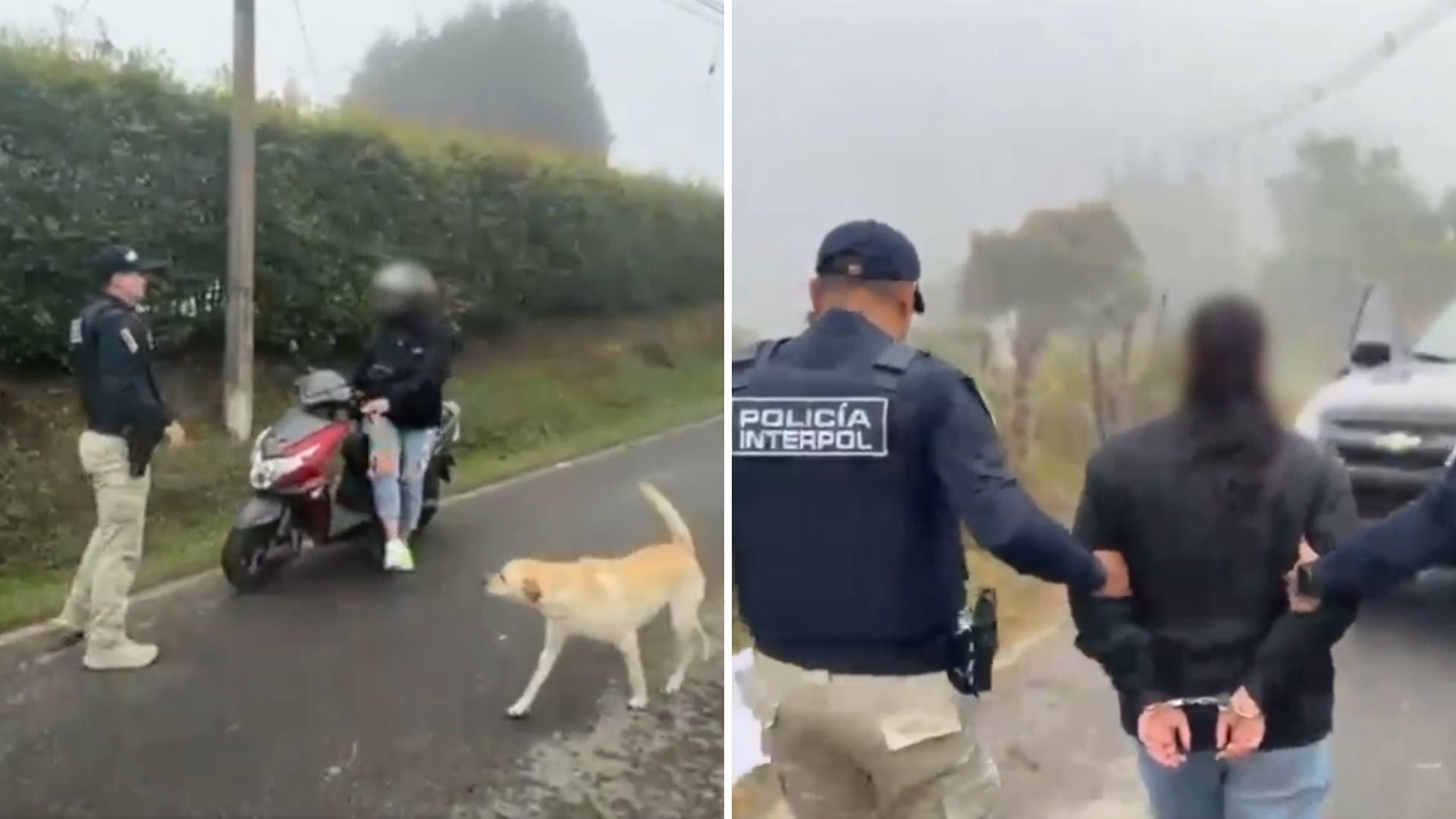 Capturan en Medellín a mujer buscada por Interpol por presuntas extorsiones millonarias en Suecia - Captura de pantalla de redes sociales