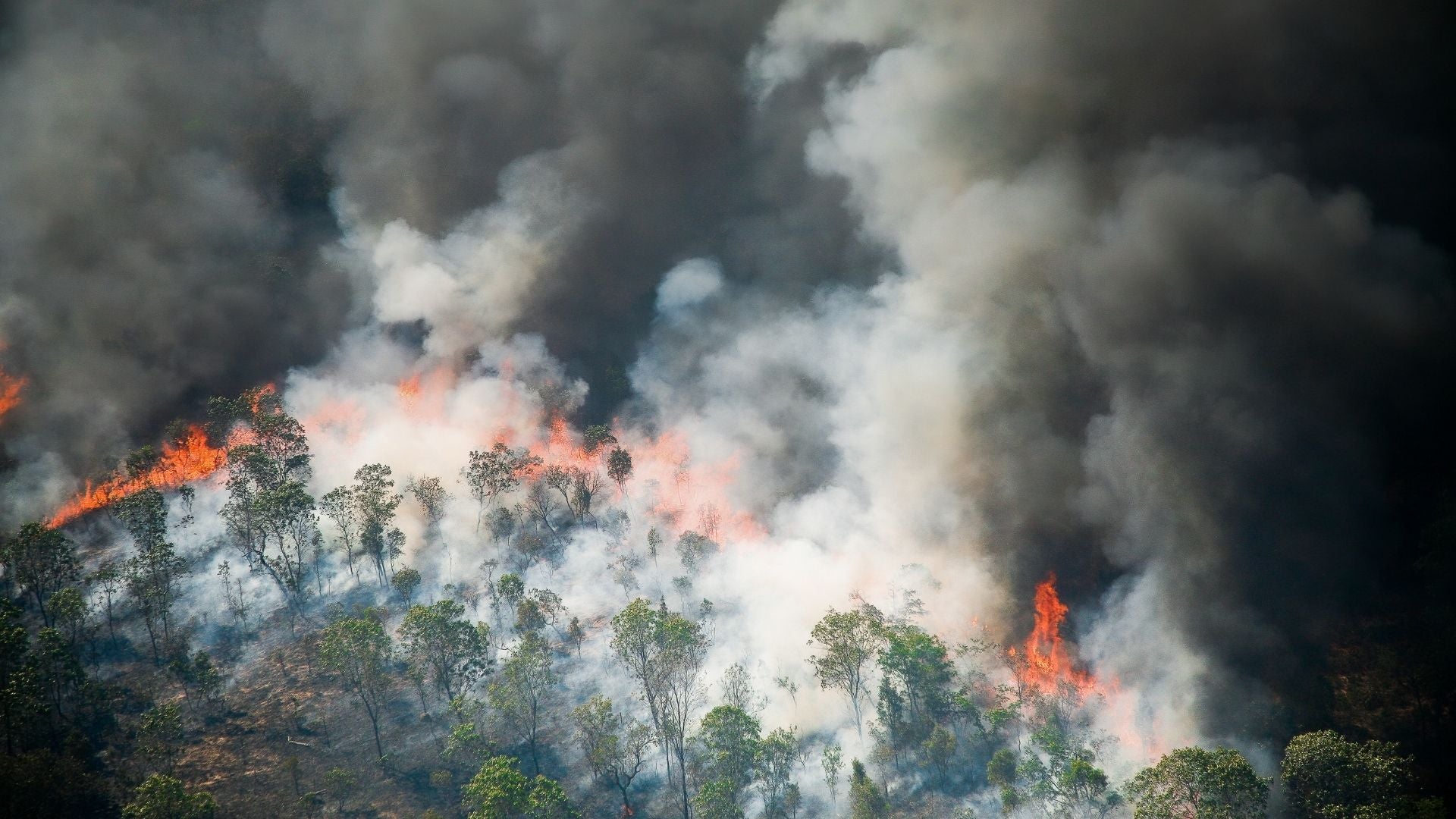 Incendio Amazonia - Foto Canva