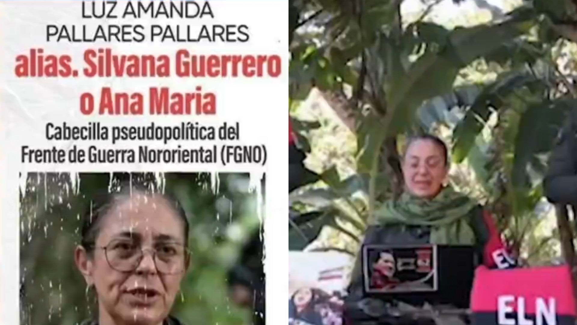 Silvana Guerrero, jefa criminal del ELN, estaría huyendo a Venezuela / FOTO: Captura de pantalla