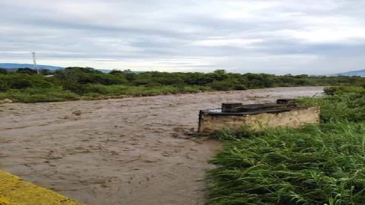 Foto referencial / Cortesía