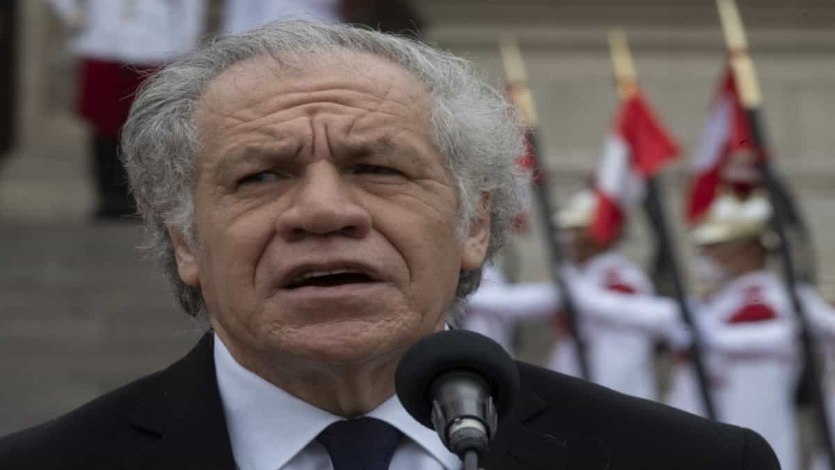 Luis Almagro, secretario general de la OEA. Foto: Cris BOURONCLE / AFP