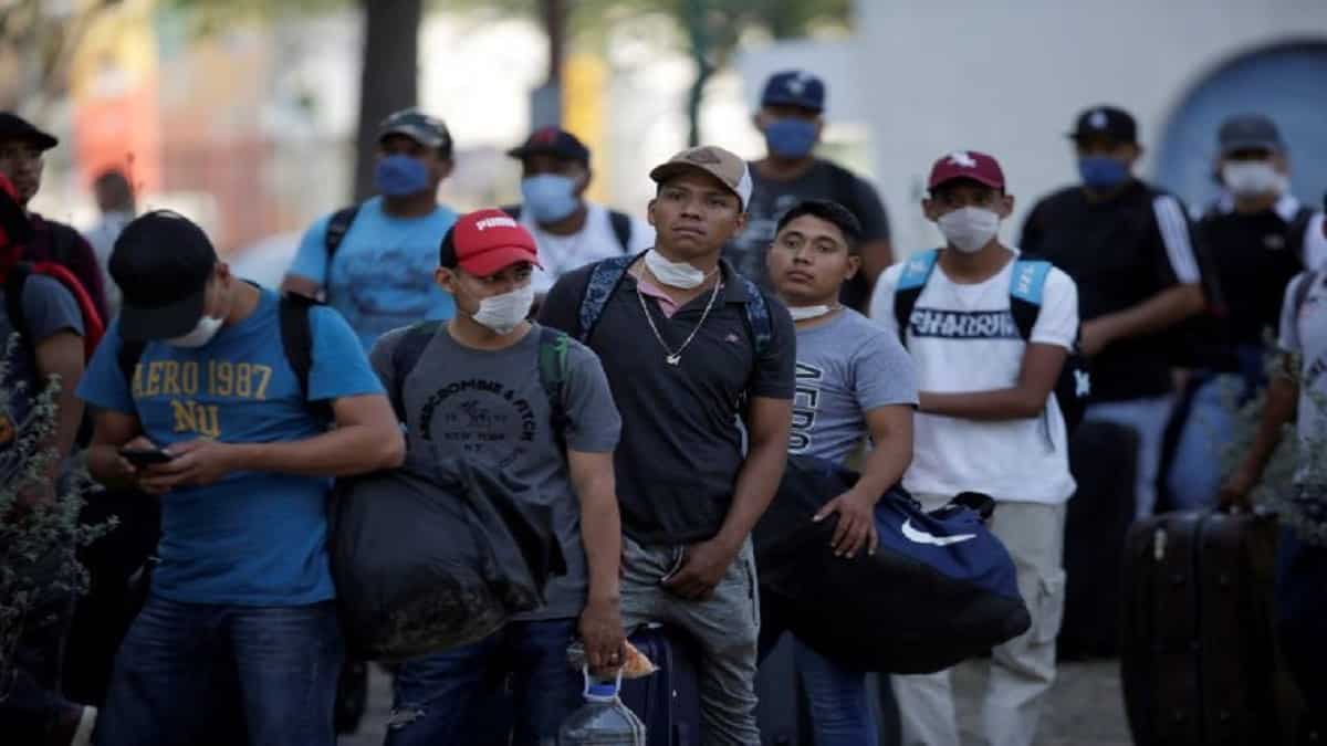 Foto / Cortesía