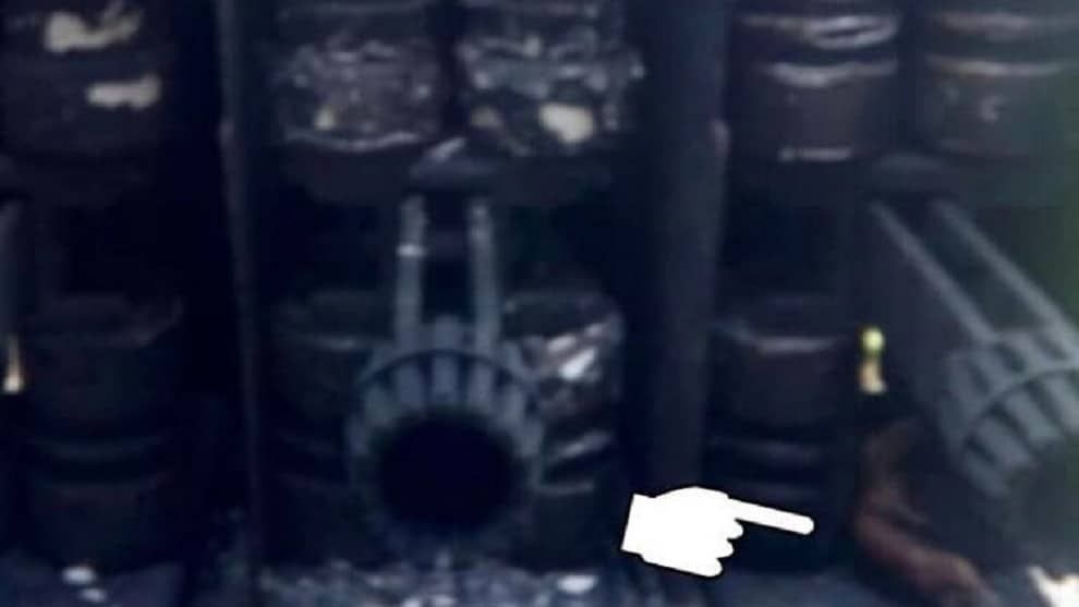 Roedor en la subestación/ Foto: @CORPOELECinfo