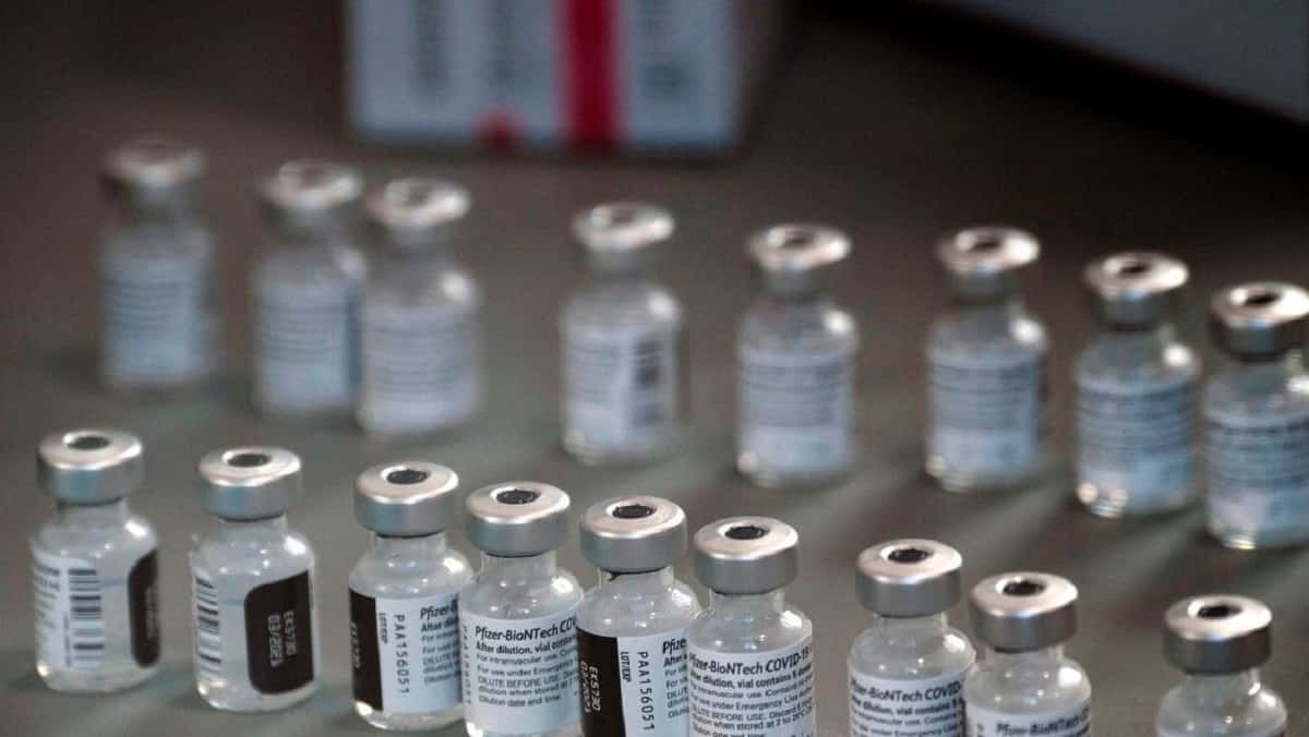 Vacunas anticovid | Foto: Cortesía