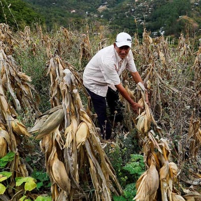 ¿Qué está pasando con el conflicto agrario en Honduras? | NTN24.COM