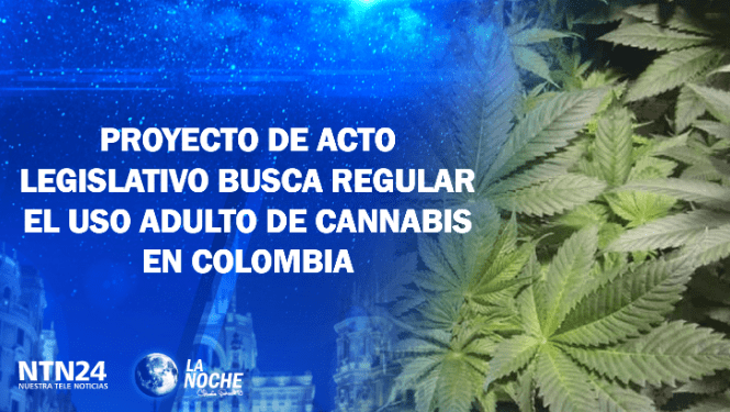 ¿Se debe legalizar el uso adulto del cannabis en Colombia?