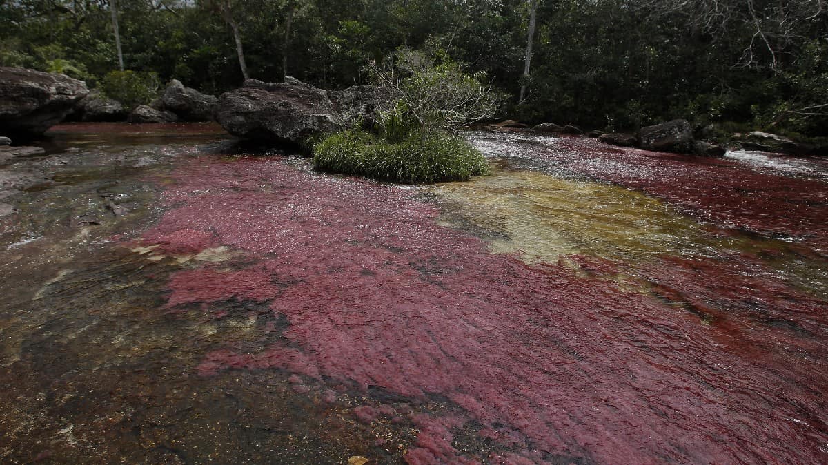 Colombia, el tercer país más hermoso del mundo: estas son sus atracciones más populares