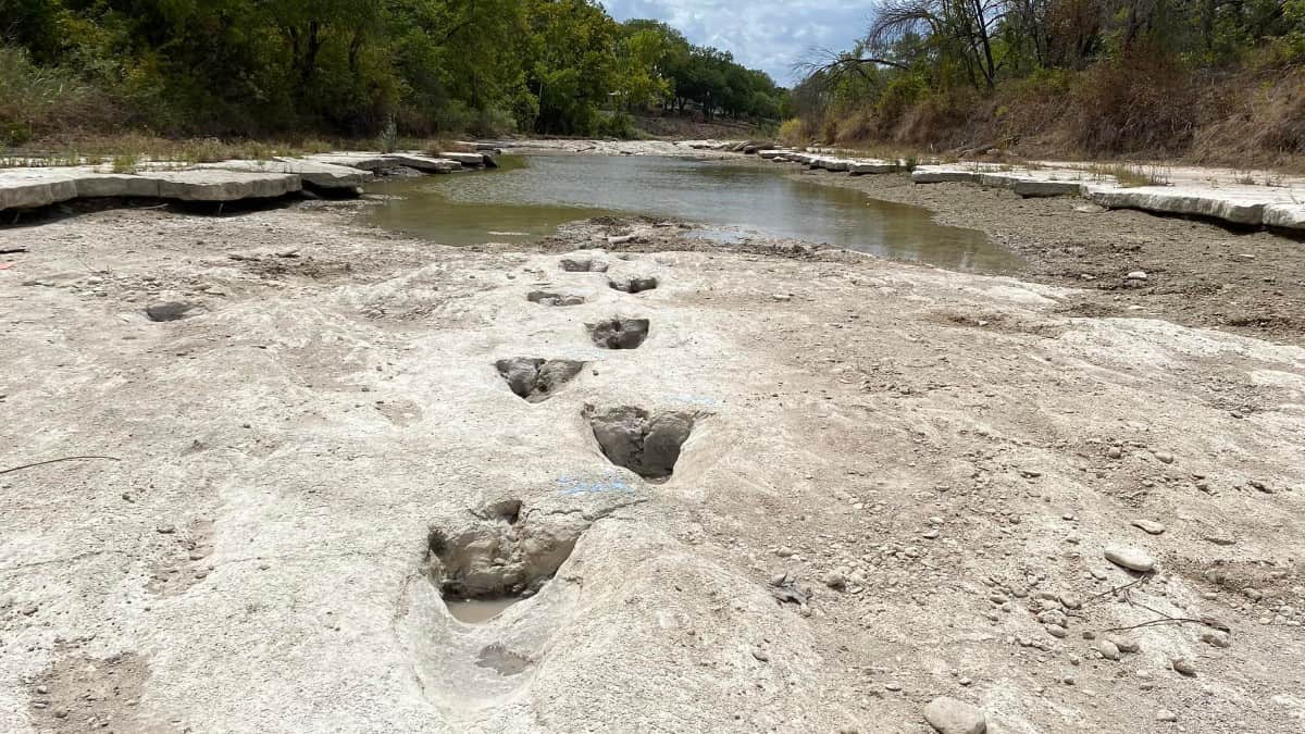 Huellas de dinosaurio en un parque en Texas, EE.UU. | Foto: AFP Sequía deja al descubierto huellas de dinosaurios que vivieron hace 113 millones de años en EE.UU.
