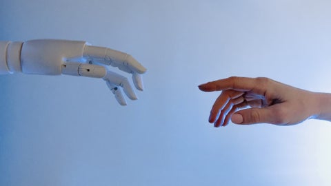 Inteligencia artificial se disculpa por “matar a la mayor parte de la humanidad” en un futuro postapocalíptico