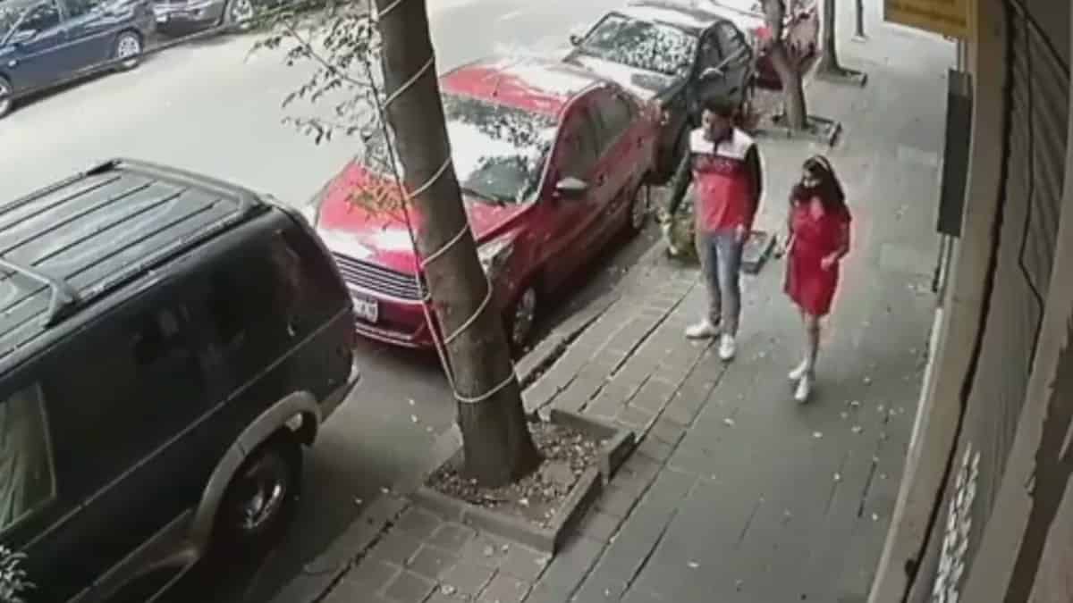 Por apenas unos centímetros una pareja se salvó de morir aplastada por un árbol