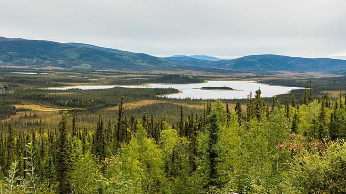 Refugio Nacional de Vida Silvestre, Tetlin, Alaska, Estados Unidos