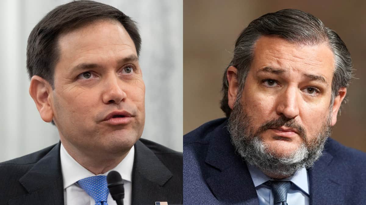 Senadores Rubio y Cruz señalan a AMLO de apoyar a dictaduras