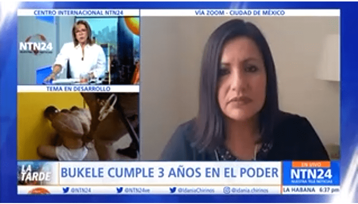 Erika Guevara Rosas, directora para las Américas de Amnistía Internacional | Foto: Captura